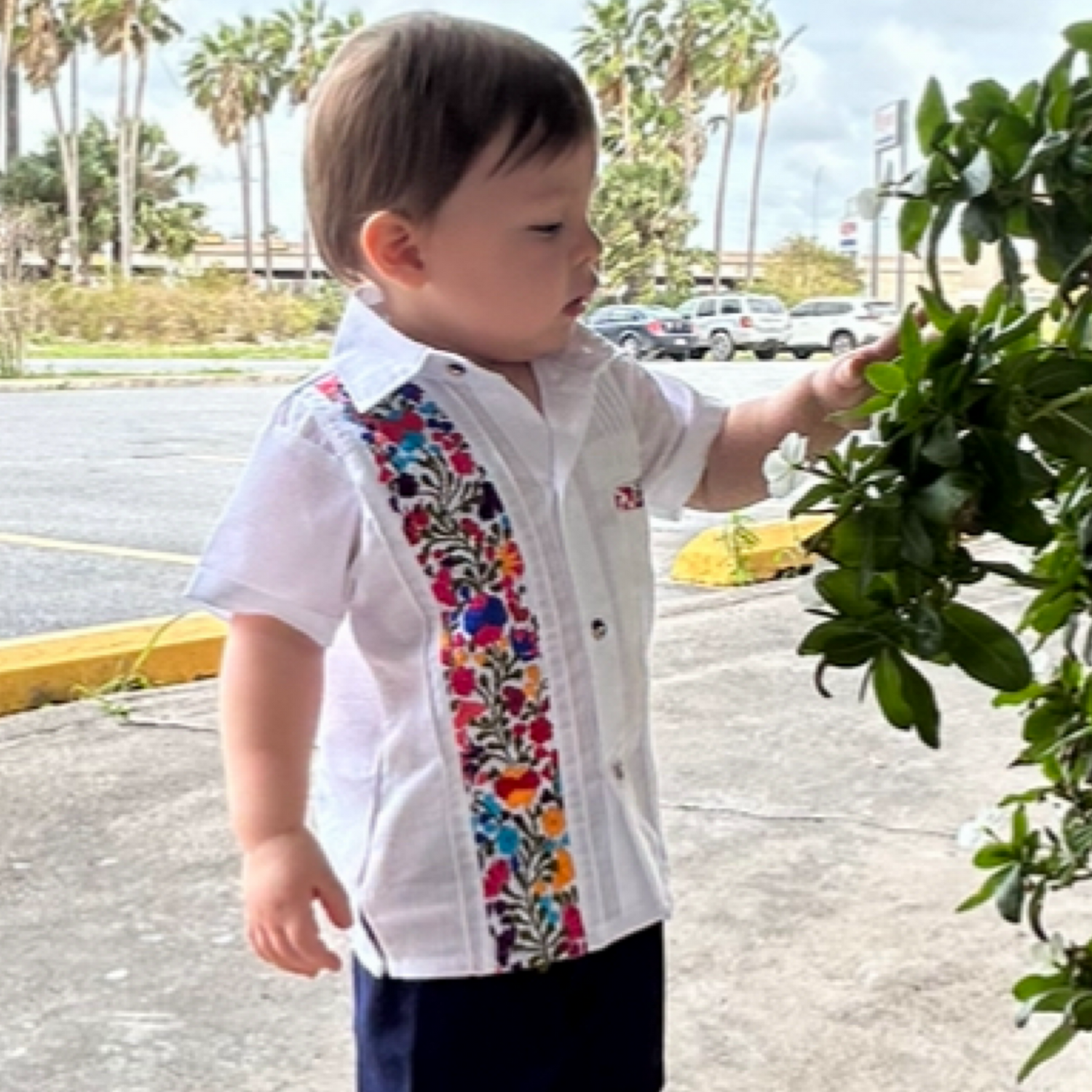 Boy Guayabera