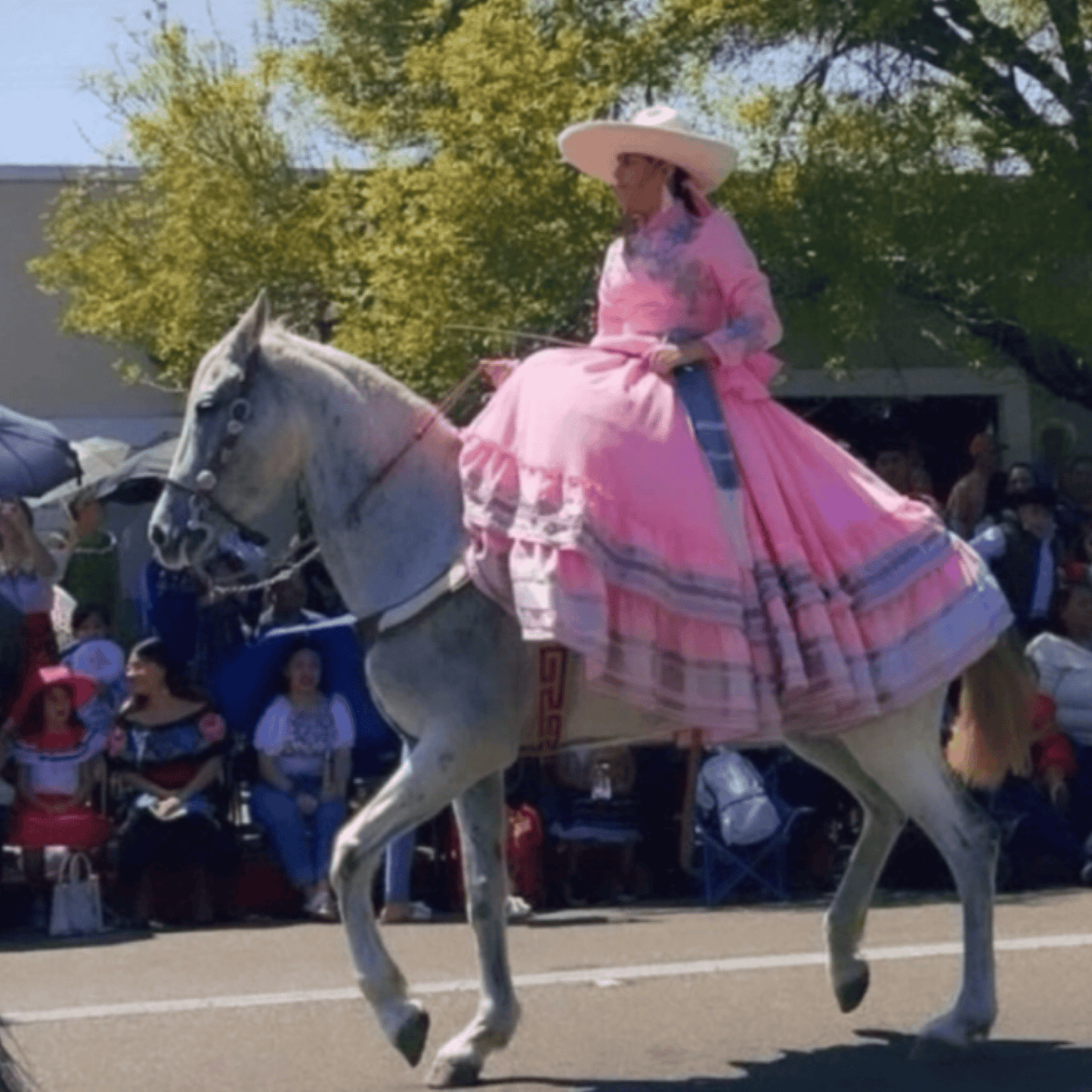 Adelita Escaramuza Charra Dress - Pink & Silver Adelita Escaramuza Charra Dress - Pink & Silver