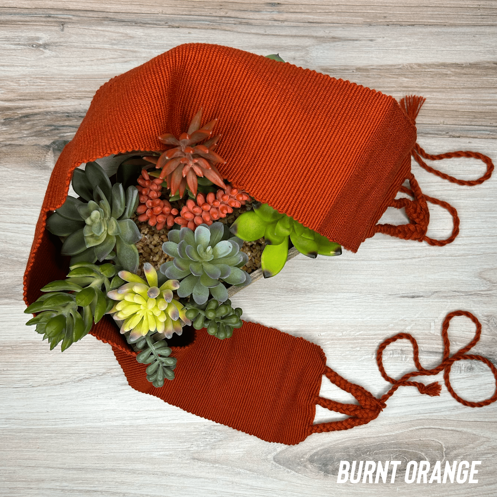 Mexican Belt - Solid Color Mexican Belt - Solid Color