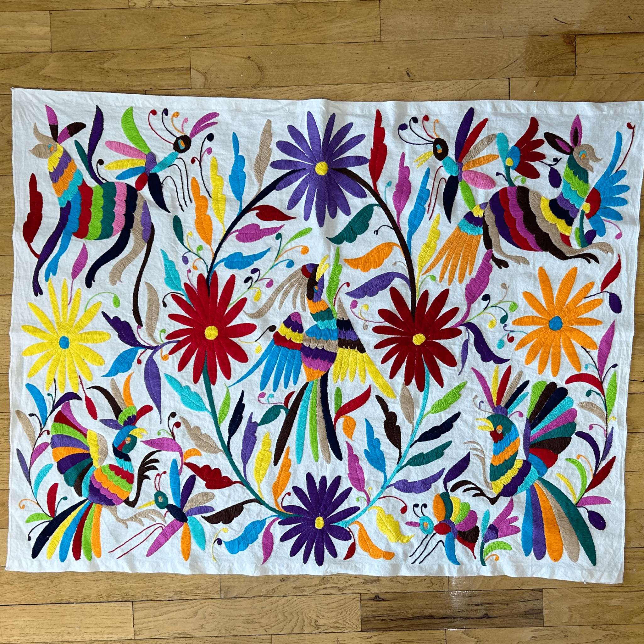 Mexican Otomi Embroidered Canvas