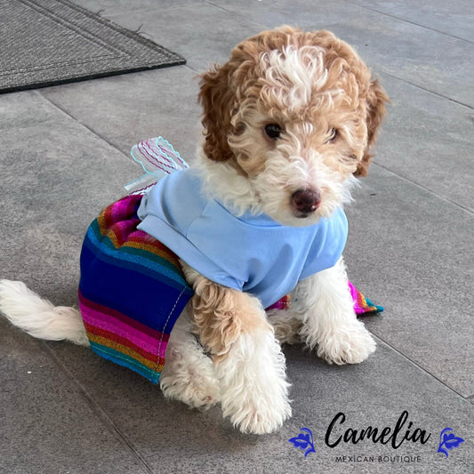 Mexican Style Dog Dress - Cambaya