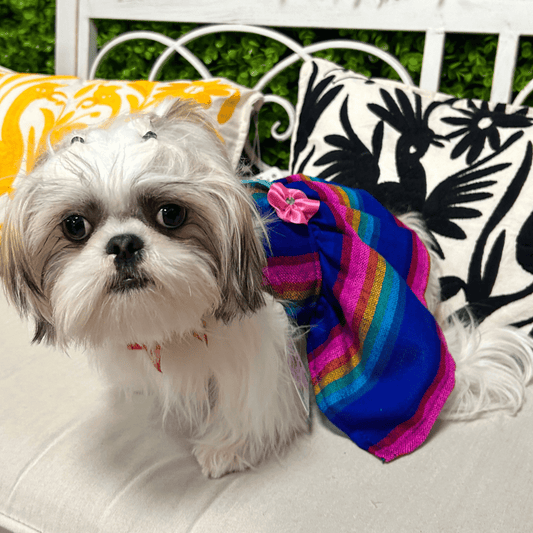 Mexican Style Dog Dress - Cambaya Halter