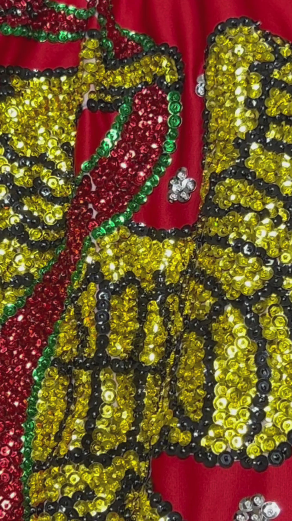 China Poblana Gala Outfit - Red Alcatraz