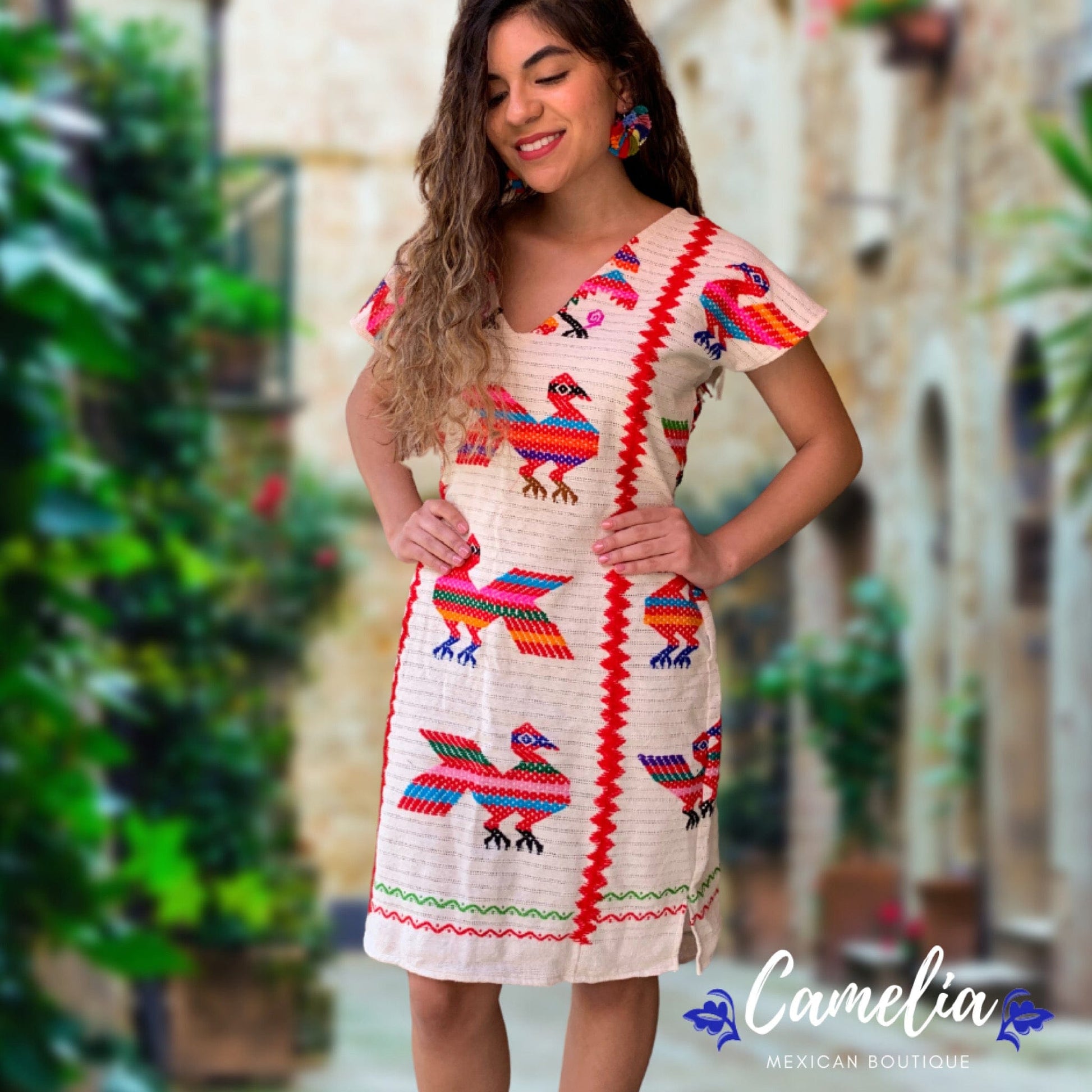 San Juan Mexican Loomed Dress - Chinanteca